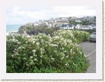 1858-Port Isaac * 800 x 600 * (121KB)